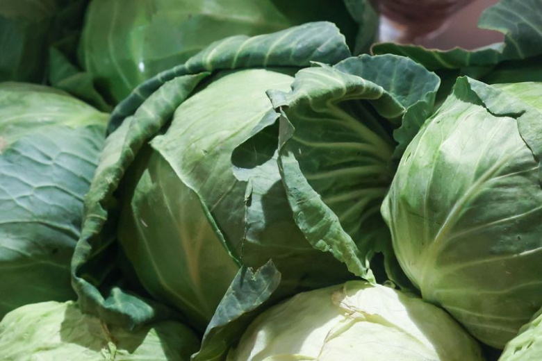 Садовые работы в октябре: готовим участок к зиме