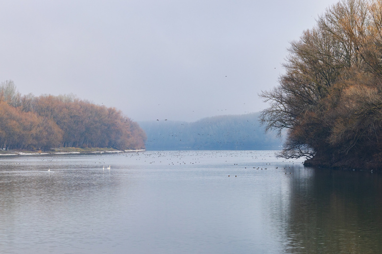 Река Днестр, Молдавия